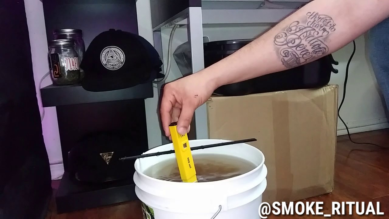Easy simple small tent grow indoor cannabis marijuana : Week 1 of Flower