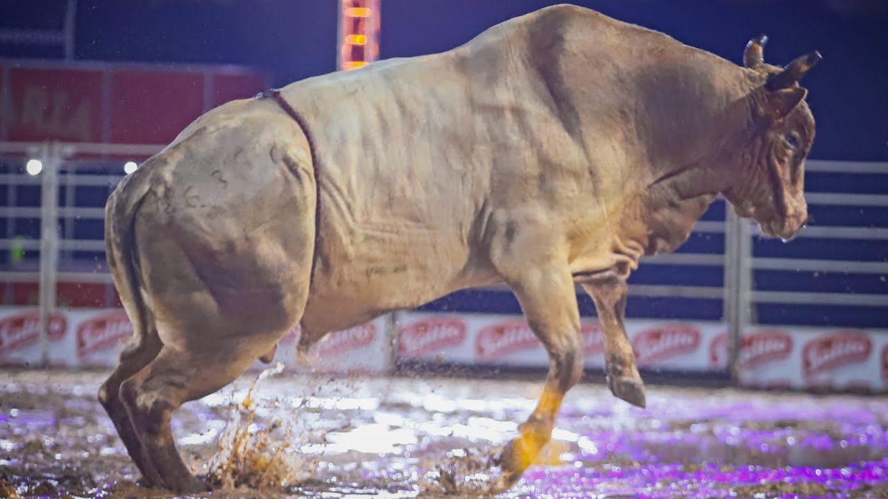 Rodeio de SANTA CRUZ DO RIO PARDO 2025 (SÁBADO / MELHORES MOMENTOS)