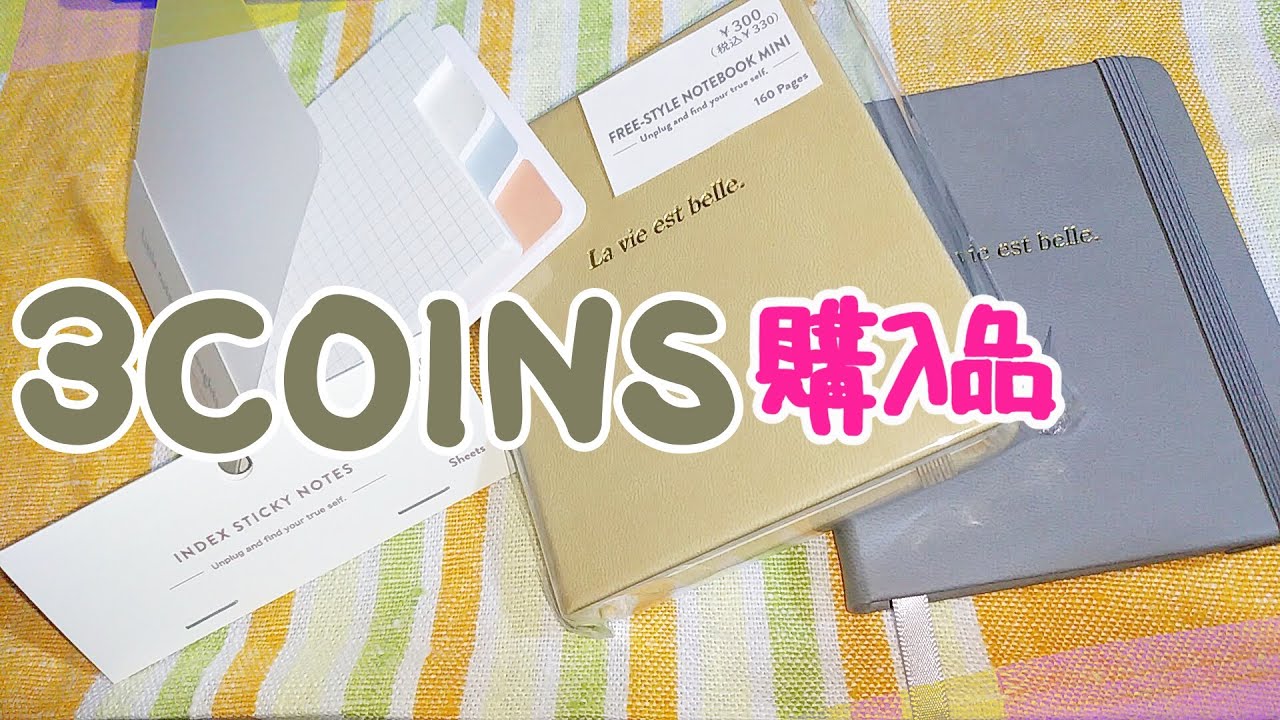 3COINS購入品🌞インデックス付き付箋、自由に書ける無地ノートミニ
