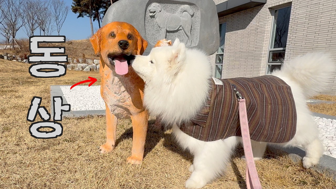 My Dog Mistook The Dog Statue For An Actual Dog🗿