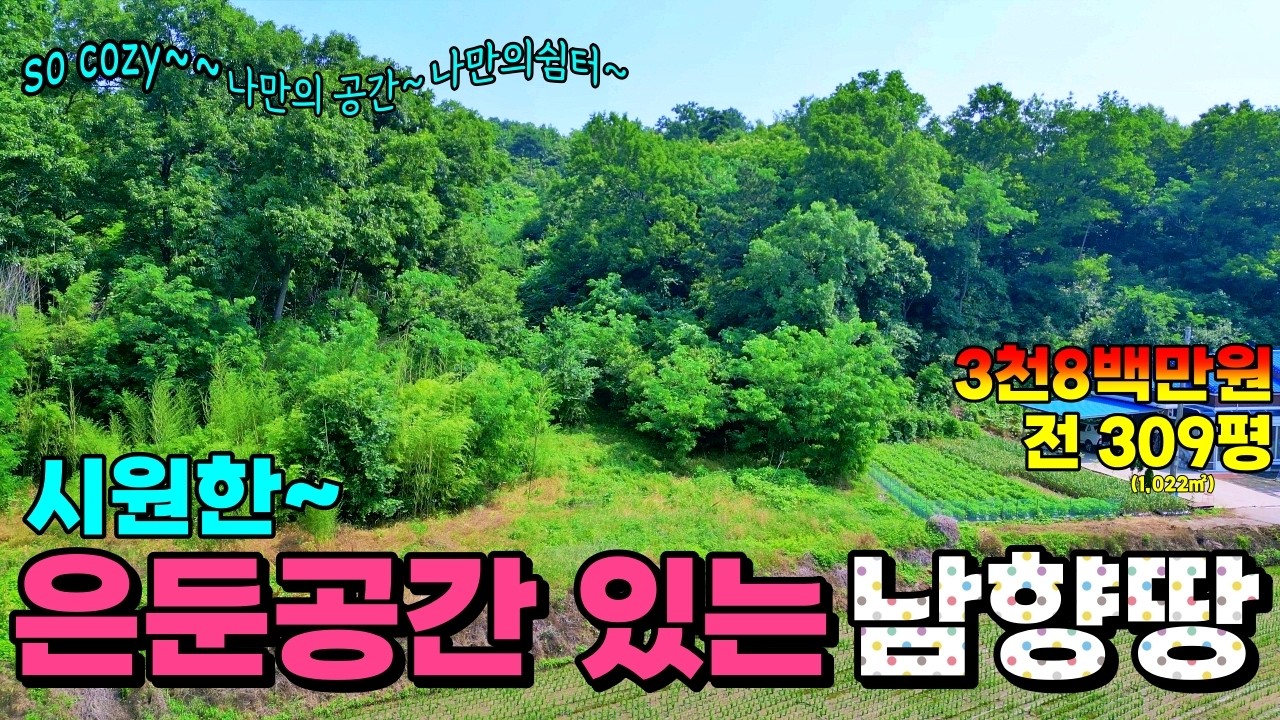 (NO.8595) 계획관리지역 정남향땅 309평 들녘 전망과 은둔 비밀아지트가 함께하는 토지매매 1,022㎡ 3천8백만원