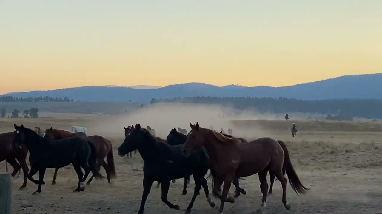 The Sound of Thunder (120 Horses)