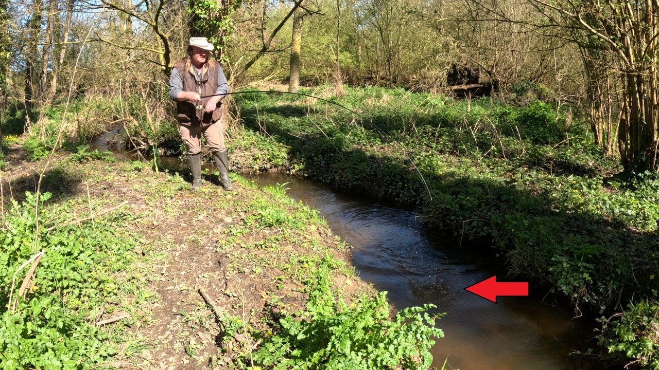 Pêche en ruisseau : gros poissons !