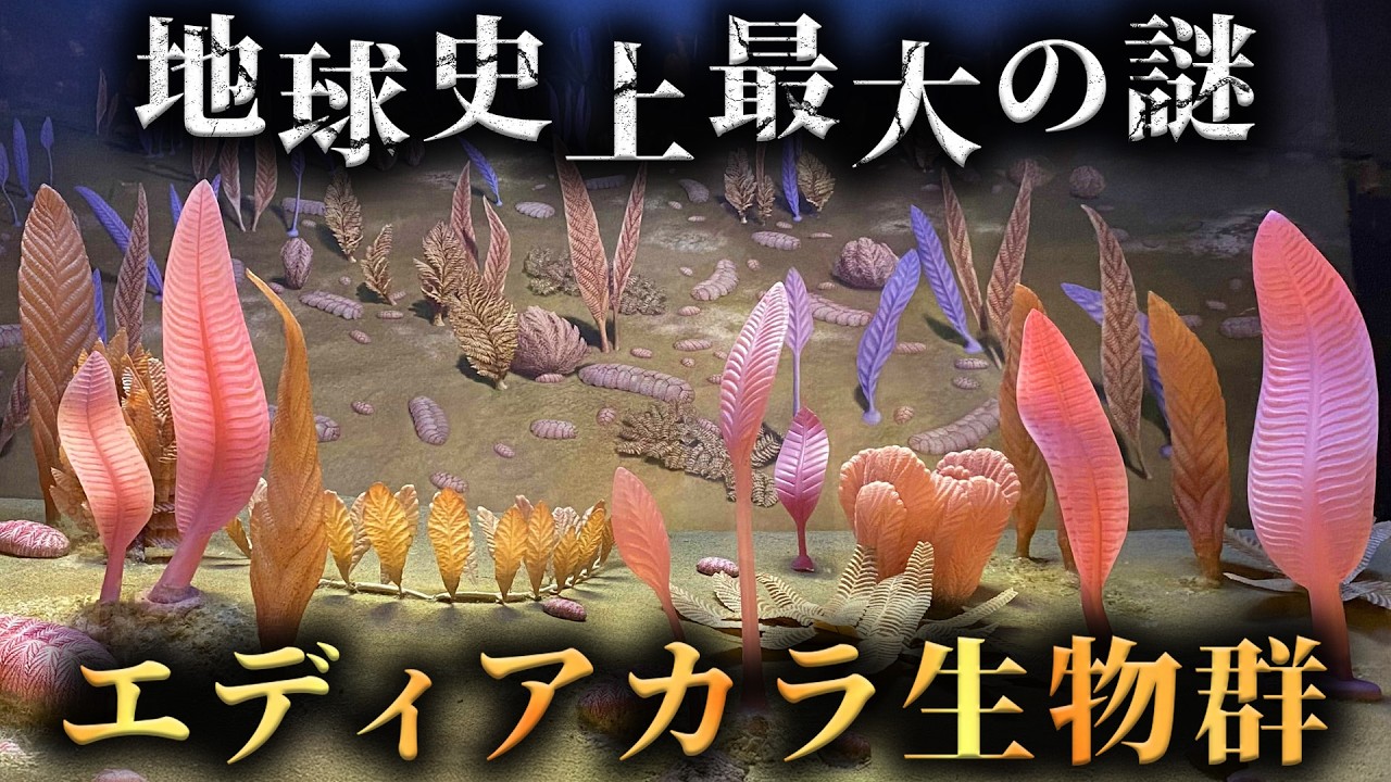 6億年前に生きていた地球史上最大の謎「エディアカラ生物群」がヤバすぎる...。【 生物学 古代生物 未解明 】