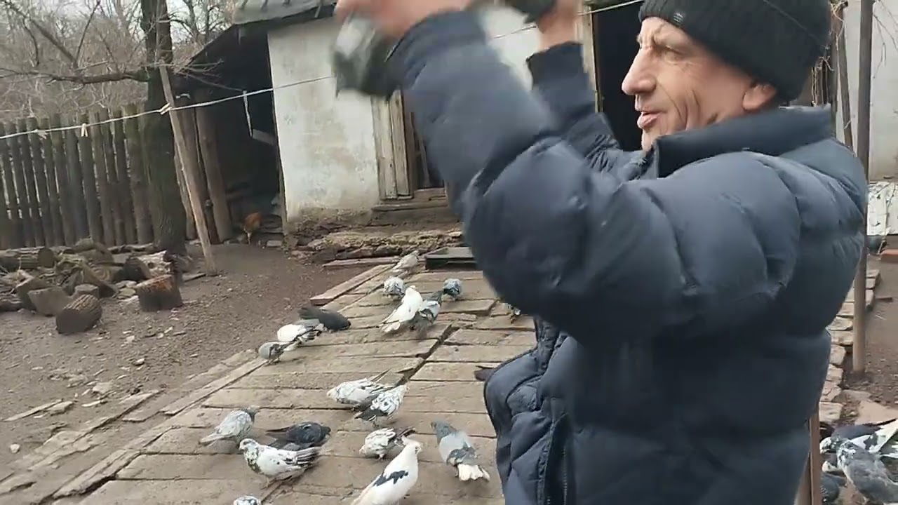 В гостях у Александра Дяченко.