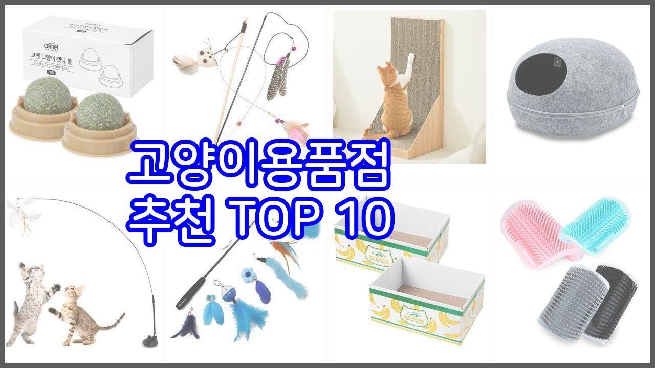 고양이용품점 추천 가치있는 구매, 10가지 최고의 상품 순위