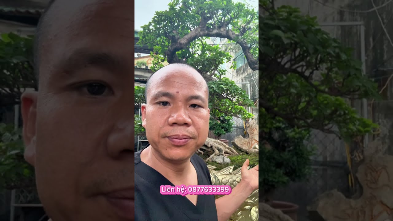 Cần tìm chủ mới cho Tác phẩm Long Vân Quần Mộc…