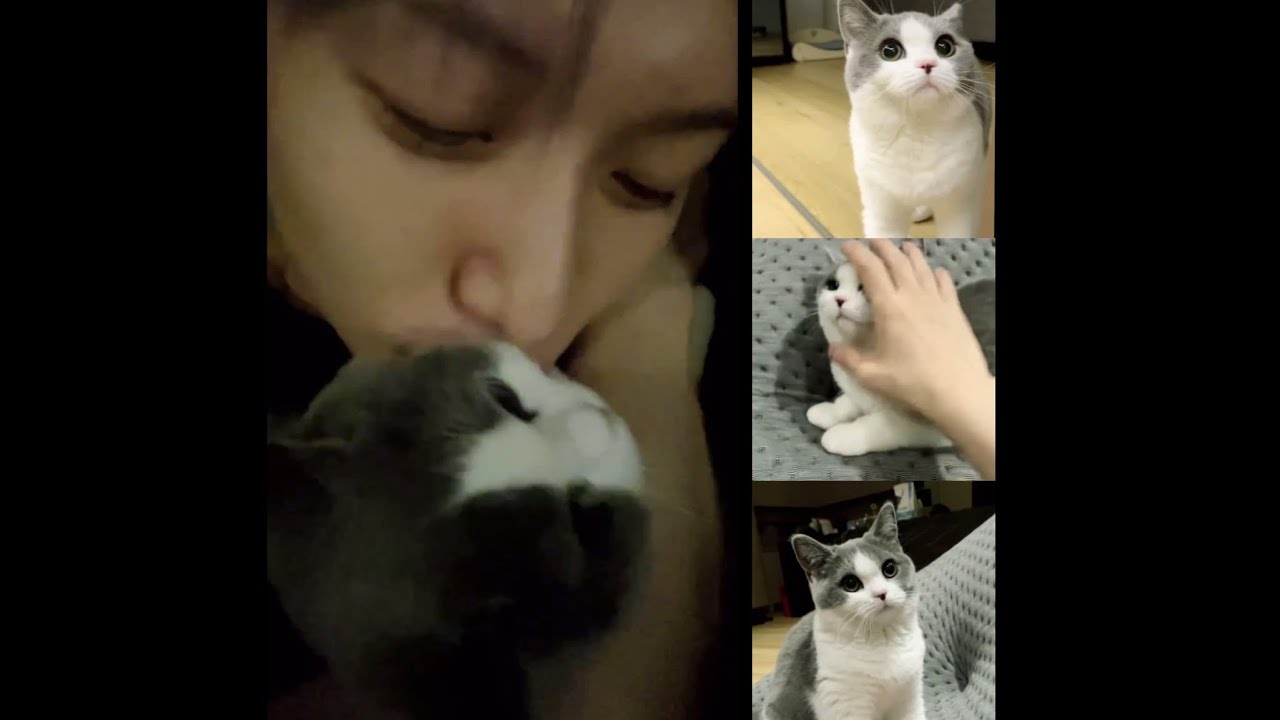 태민이 곁에 꿍이가 있어서 참 다행이야