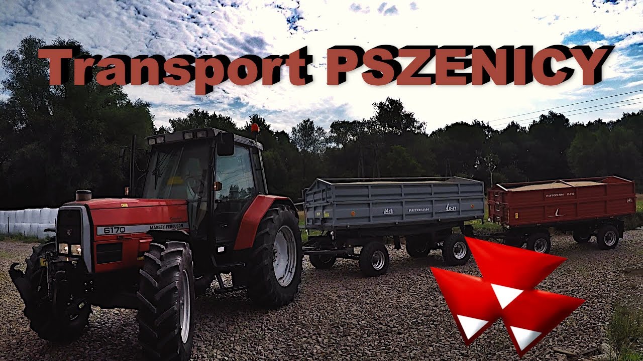 VLOG #9 - Transport pszenicy MF 6170 i 2 Przyczepy!