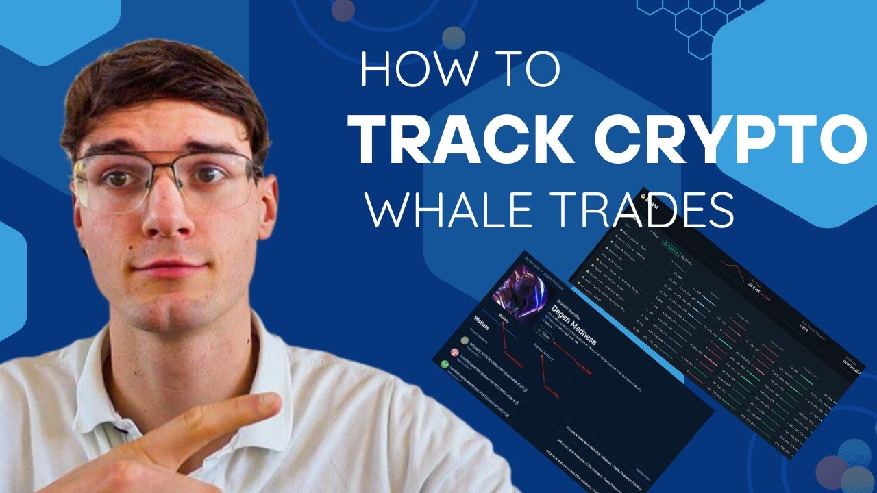 How To Track Crypto Whale Trades (QUICK)