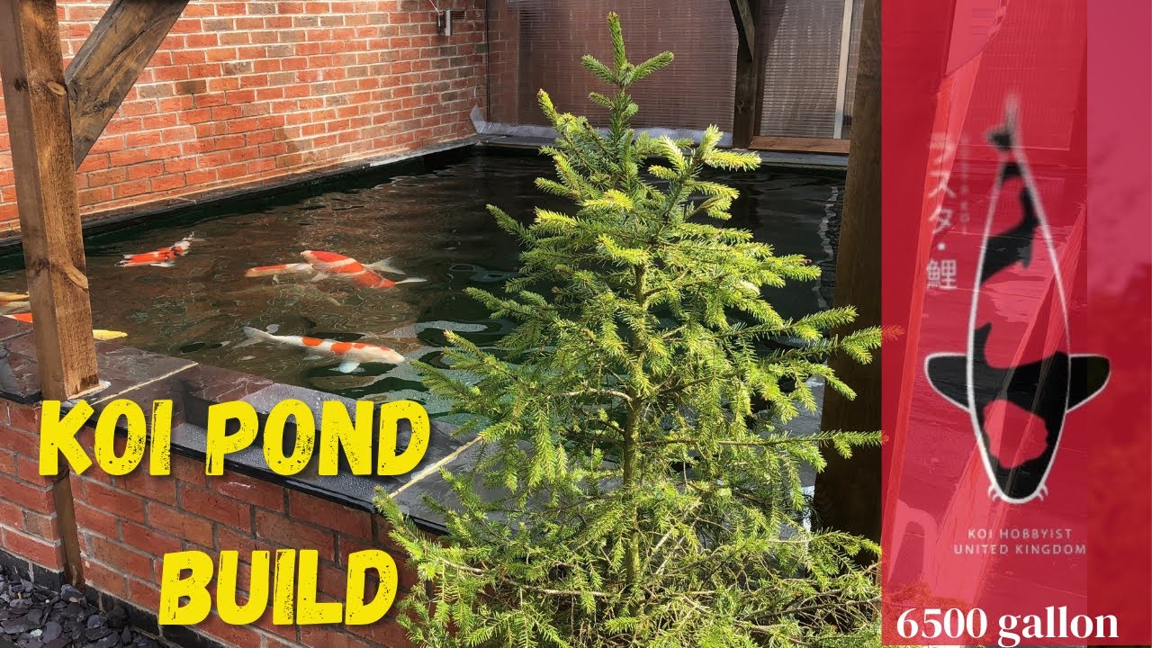 How I built my koi pond (6500 imperial gallons - only in pictures) step by step