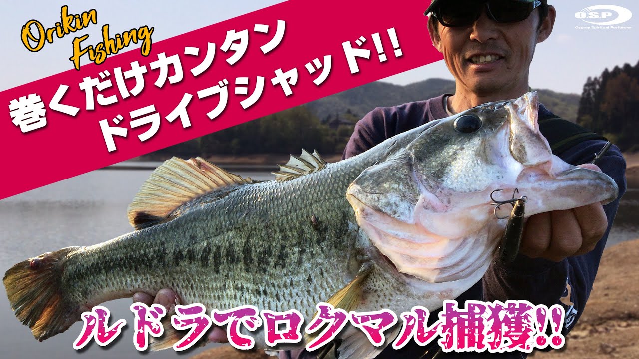 【おかっぱり】巻くだけカンタン・ドライブシャッド！ルドラでロクマルモンスター捕獲！【オリキンフィッシング】