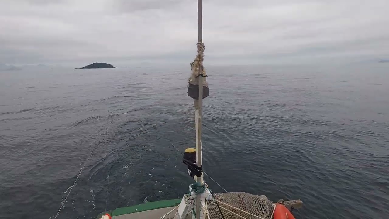 PESCA DE CAMARÃO - 7 BARBAS EP 03 / PARATY RJ