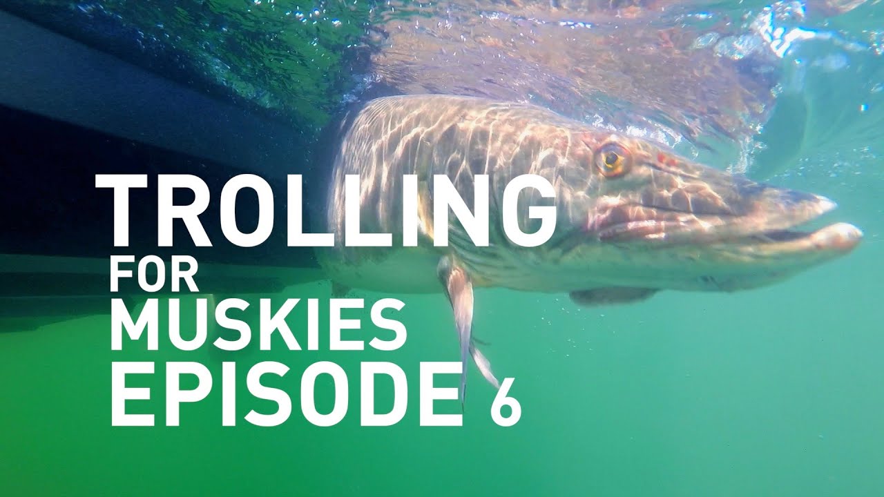 HOW many miles does it take to catch a MUSKY?? Watch and find out (Episode 6)