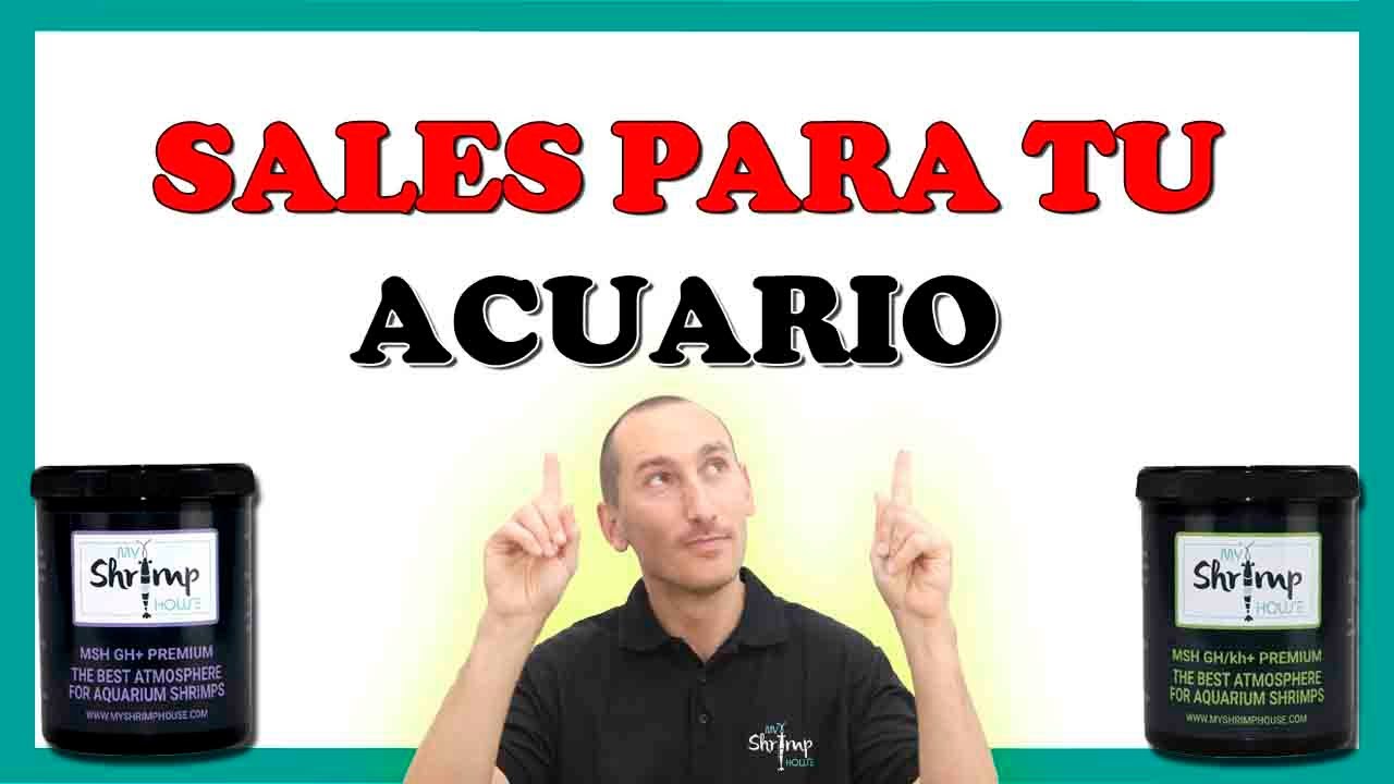 SALES para ACUARIOS peces y GAMBAS