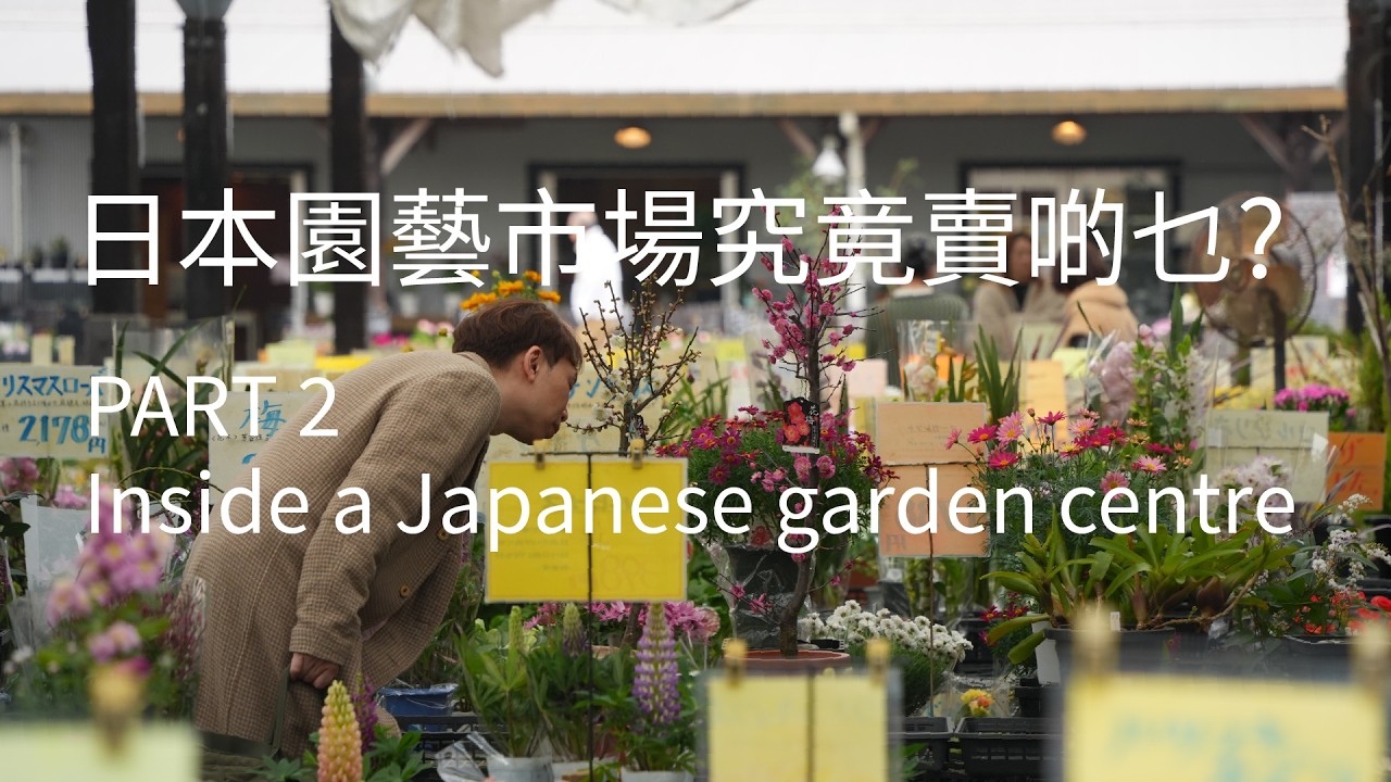 日本園藝市場究竟賣啲乜? PART2 | A stroll through a Japanese garden centre Part 2. | DR. SOLOMON 花藝教室 | 家居鮮花插花擺設