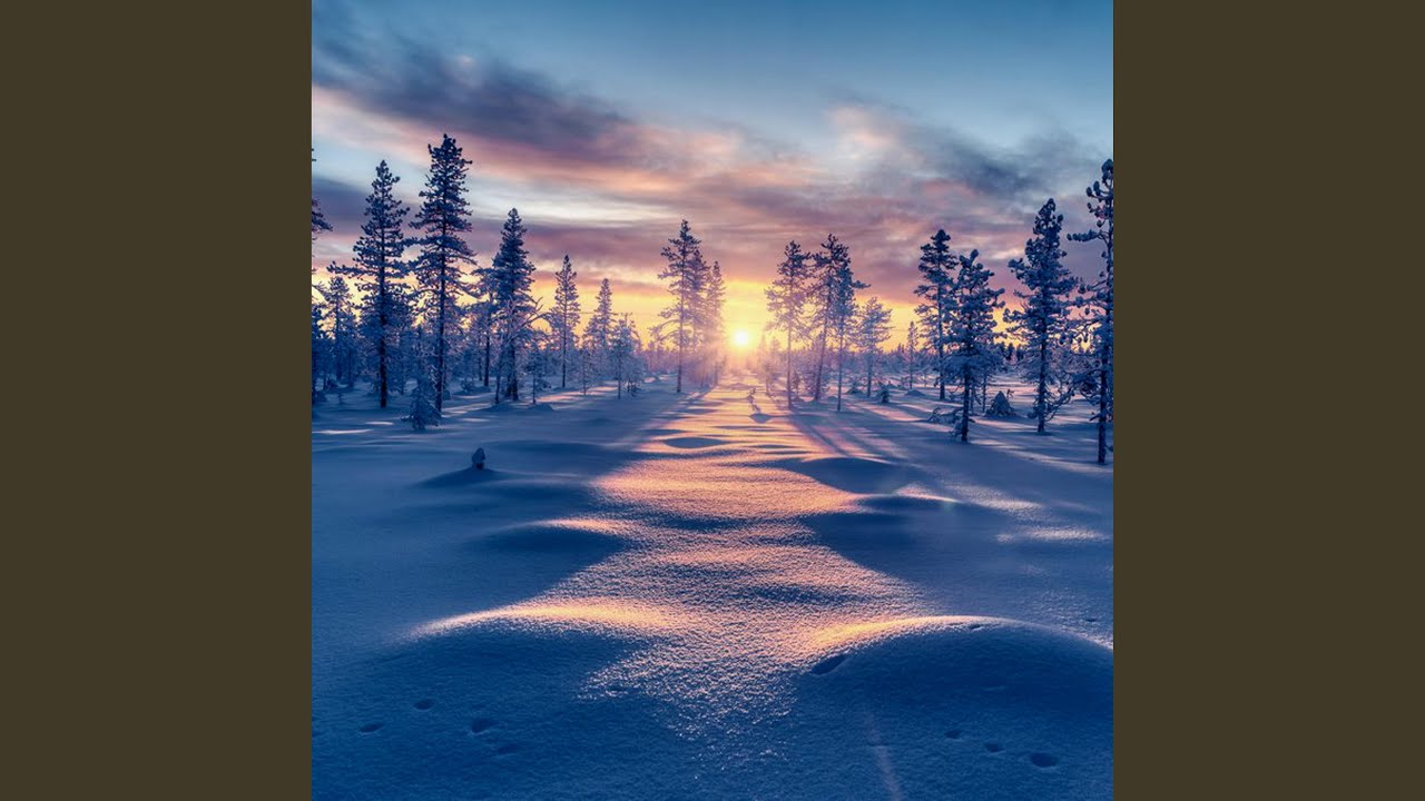 Kiitos sulle elämä