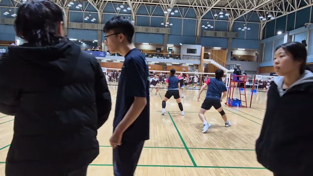20 d 혼복