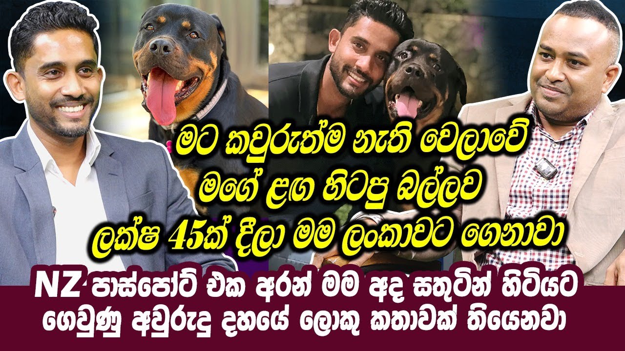 මට කවුරුත්ම නැති වෙලාවේ මගේ ළඟ හිටපු බල්ලව ලක්ෂ 45ක් දීලා මම ලංකාවට ගෙනාවා | Videendra Miguel