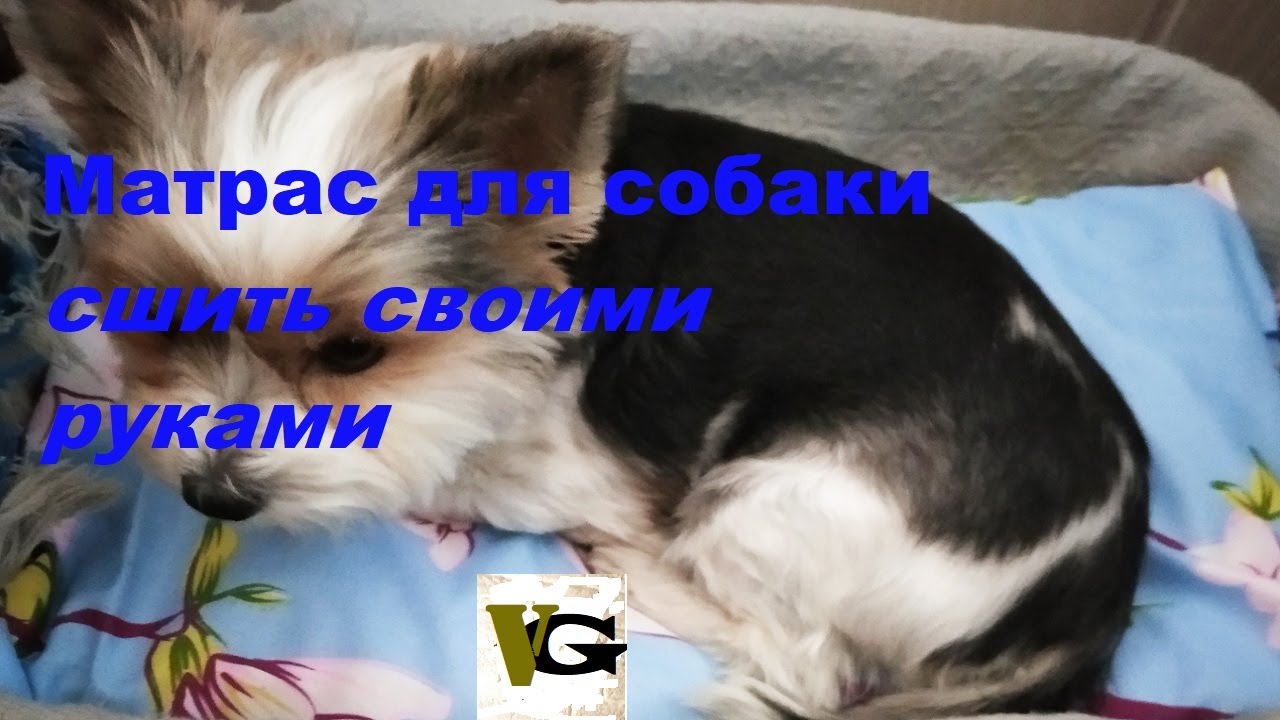 Матрас для собаки своими руками