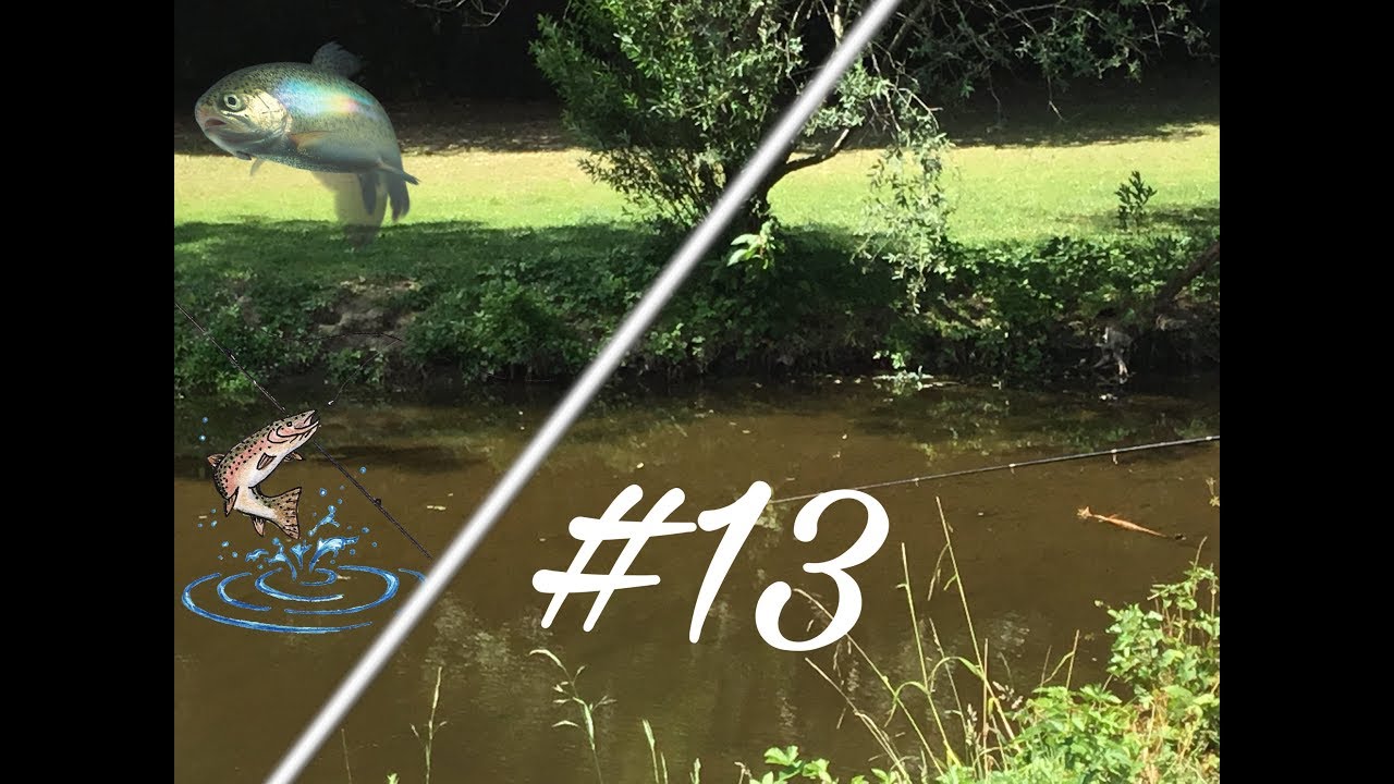 GROTE FOREL GEVANGEN!  #13