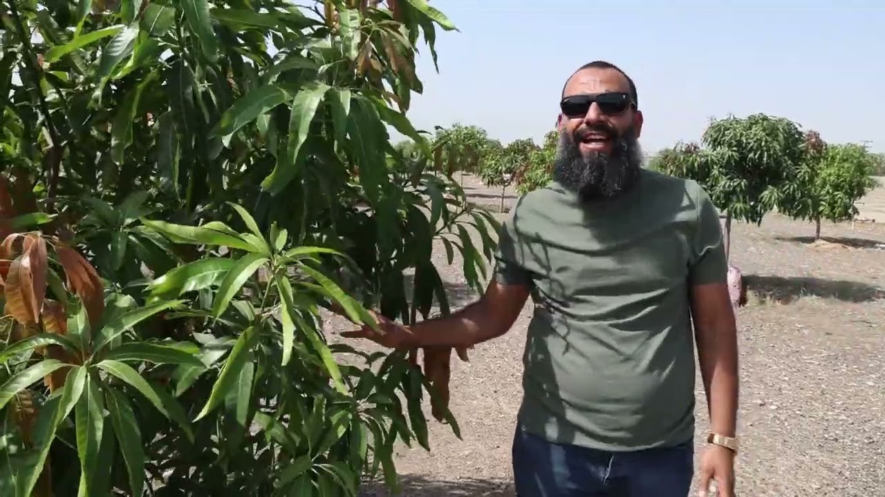 افضل مشروع استثماري في سلطنة عمان مع شركة نبع الخير