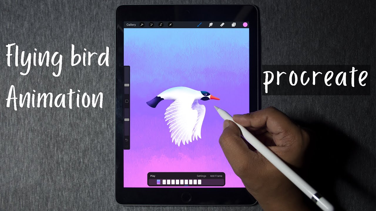 FLYING BIRD🕊️  animation in procreate !