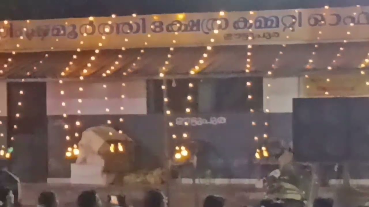 കൃഷ്ണകൃപ കൈകൊട്ടികളി സംഘത്തിന്റെ പിന്നൽ തിരുവാതിര 