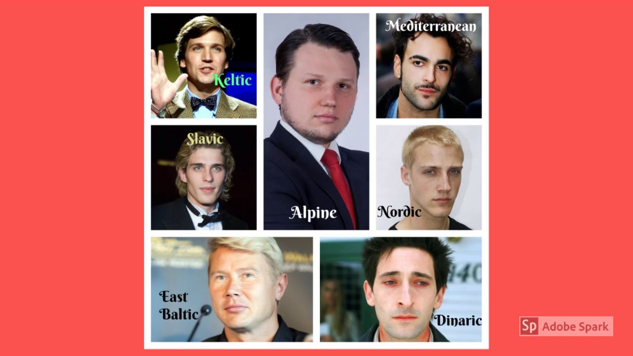 The White European & American Indian races & their subraces