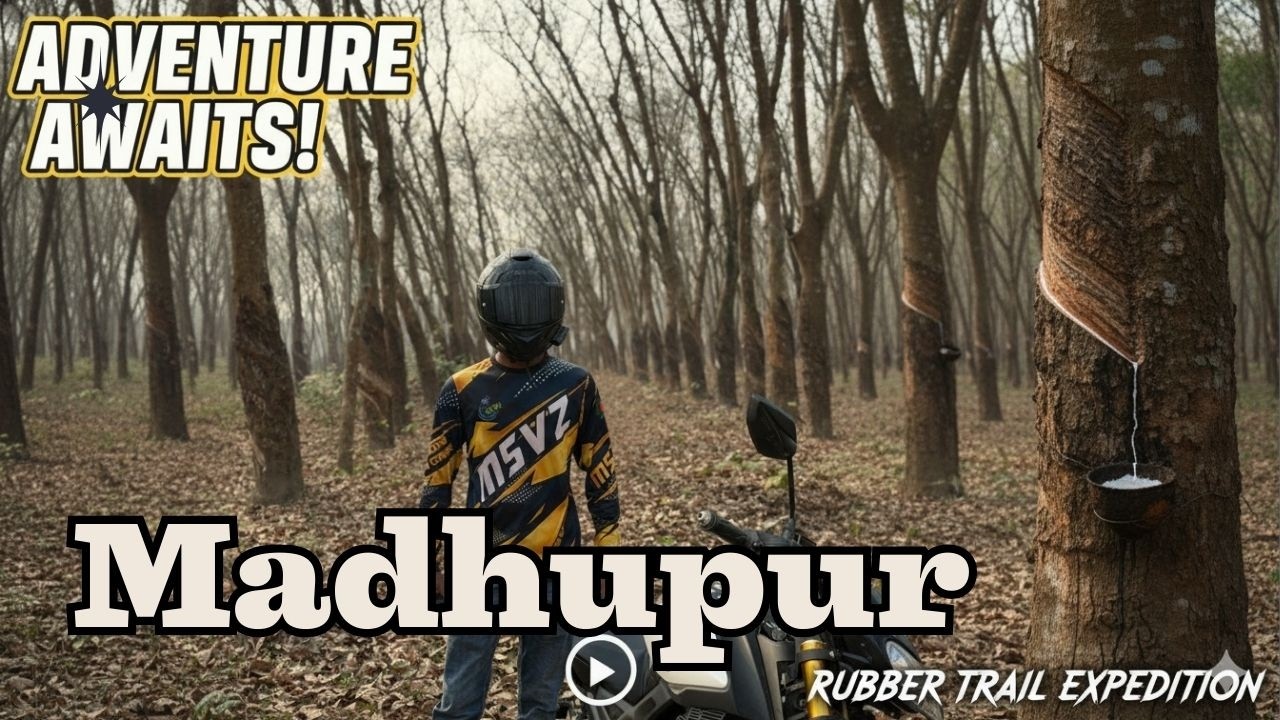 Explore the Unexplored Madhupur Rubber Bagan and Pirgacha Rubber Garden in Tangail Bangladesh