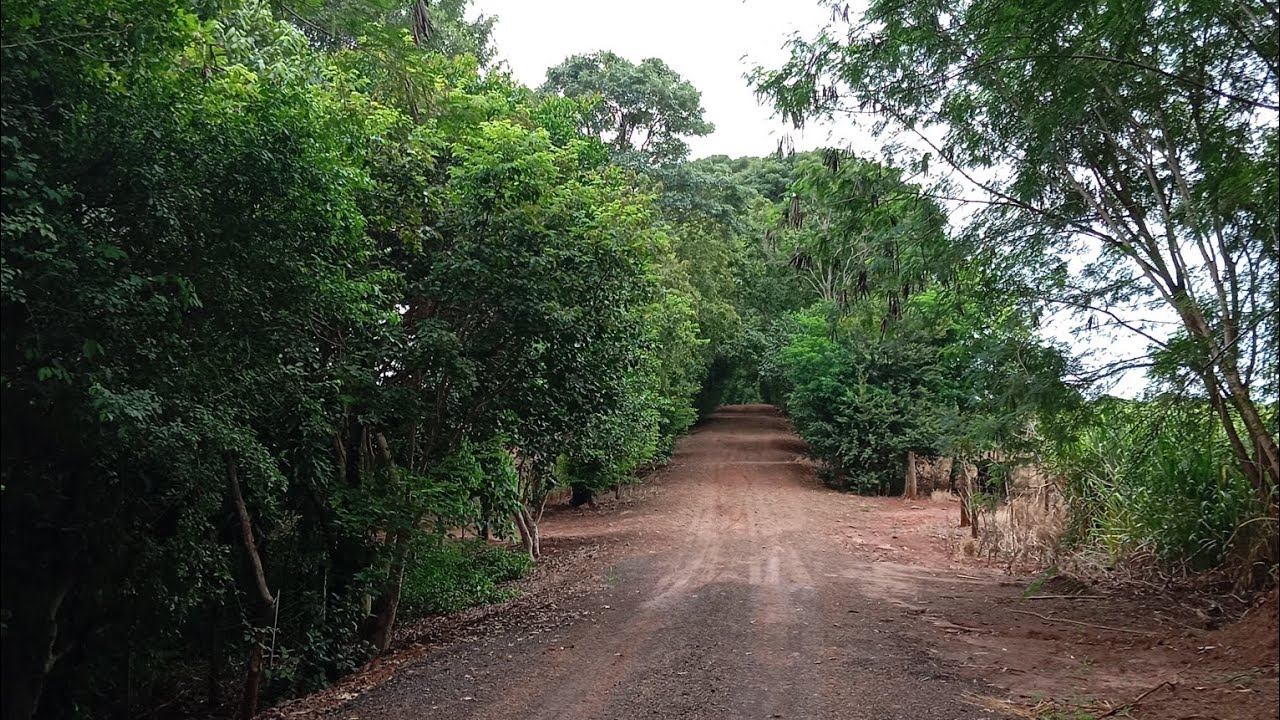 Fui prá mostrar a lagoa mais não deu certo 