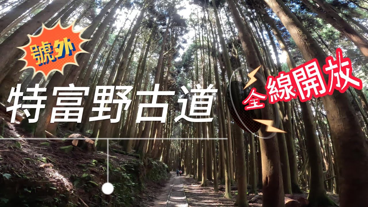特富野古道 自忠入口 全線開放