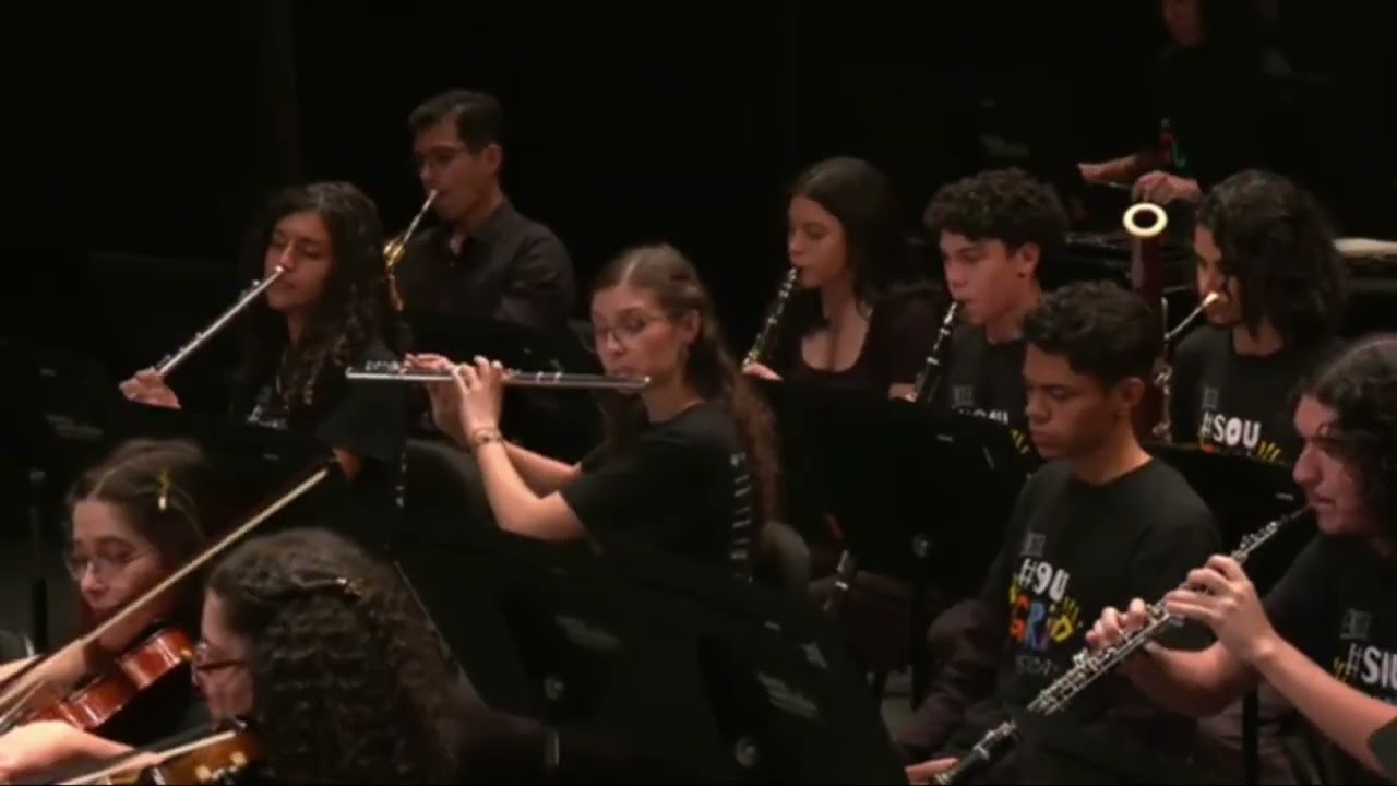Valsa da bela adormecida - Tchaikovsky || ORSI-SP 