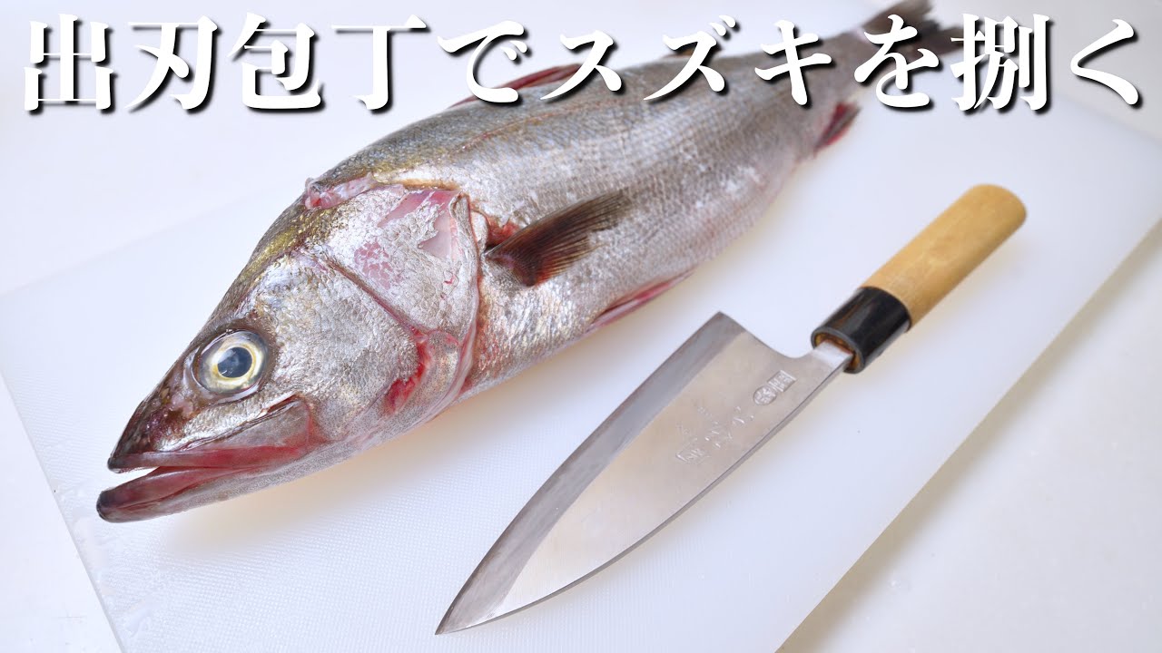 【ASMR】和包丁（出刃包丁）でスズキを捌く【魚さばき方】Filleting fish with Japanese deba knife