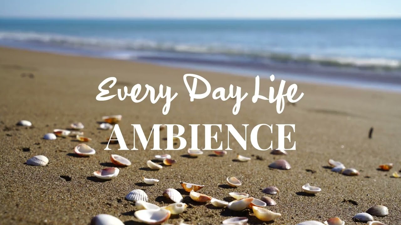 Calm Waves and Seagulls on the Beach Ocean Ambience Sounds - 1 hour video