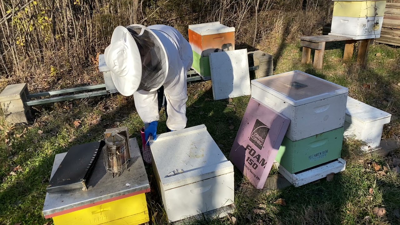 Overwintering Bees with a Double Screen Board 🐝