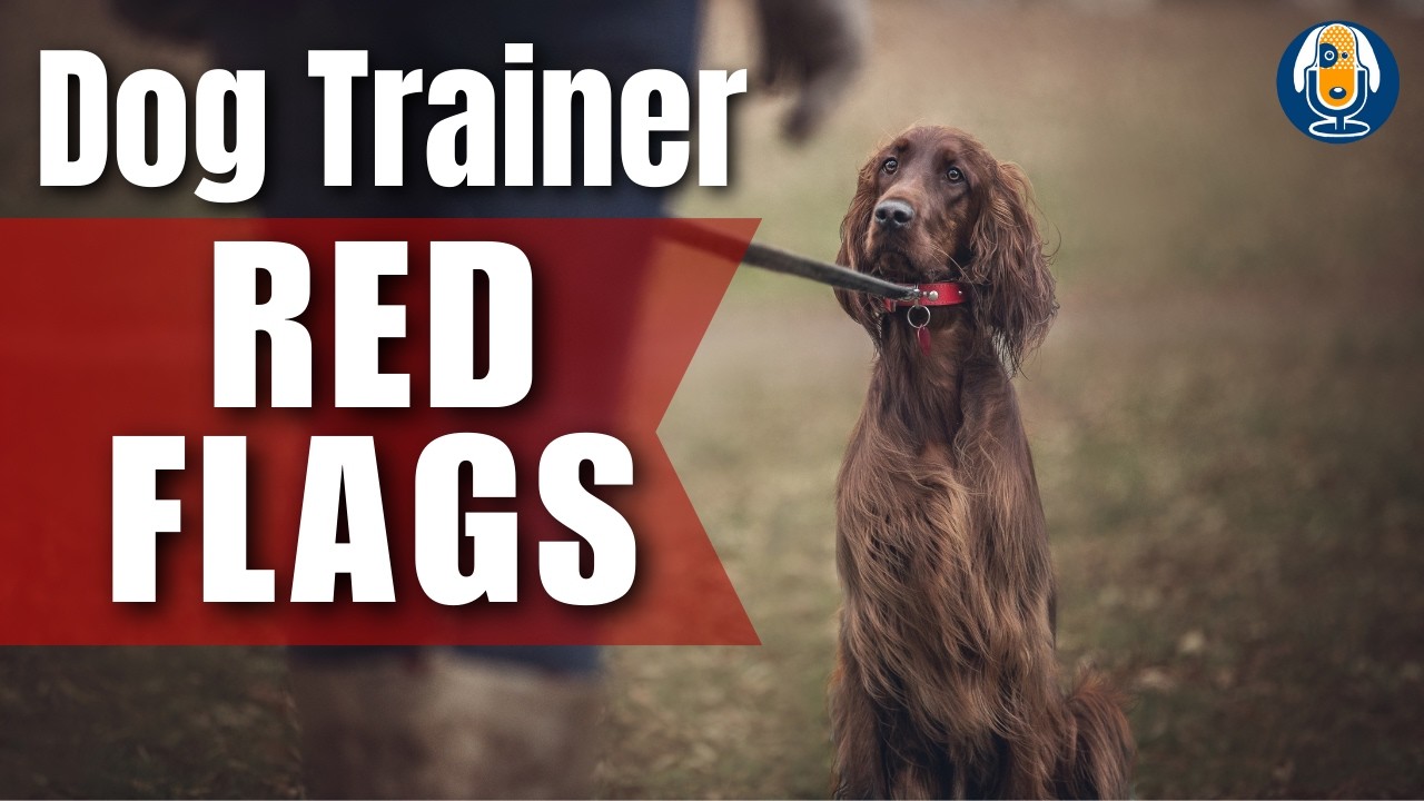 The Red Flag Of Dominance Based Training: Why It’s Hurting Your Dog And What To Do Instead #290