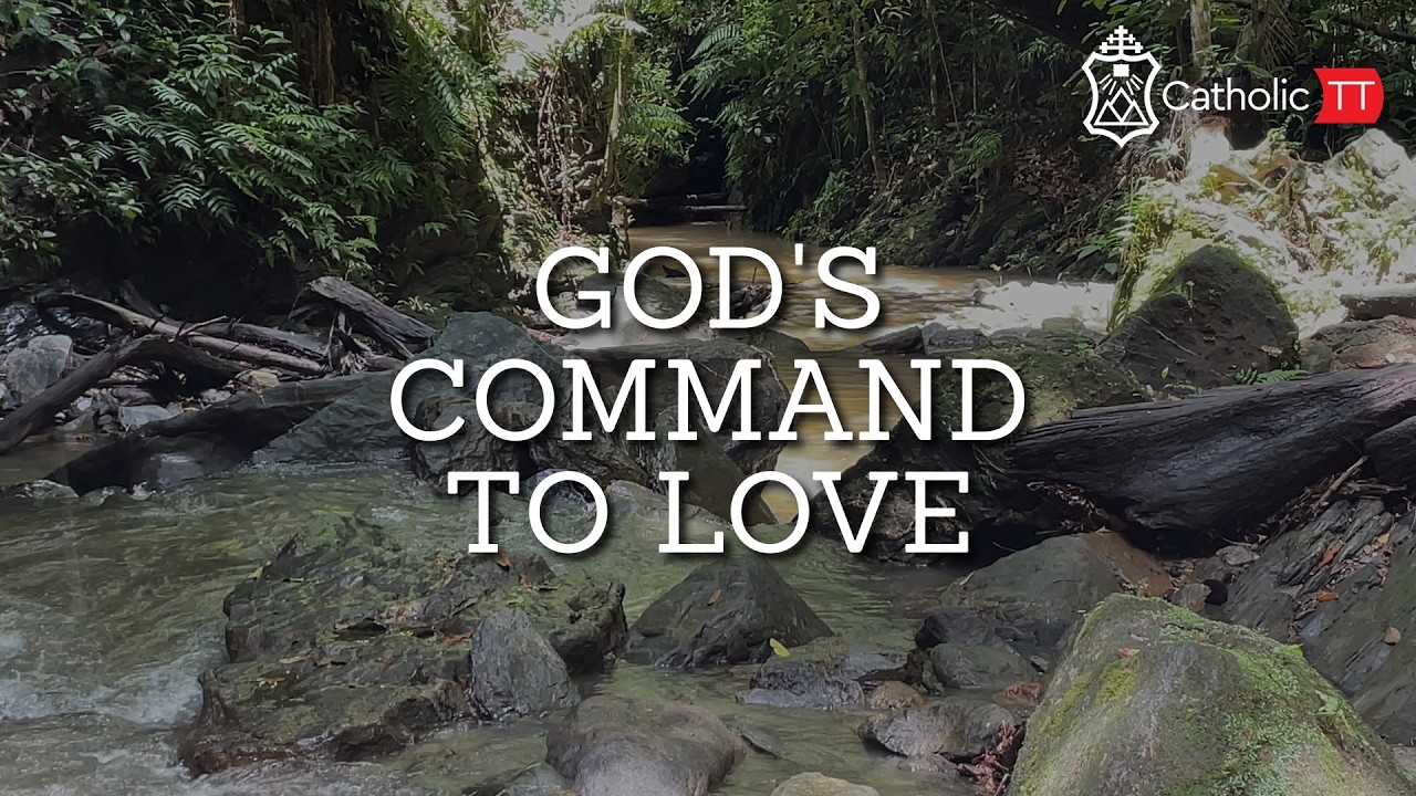 Daily Reflection 🇹🇹🇹🇹: Tuesday February 10 2026 - Tuesday of Week 5 in OT (A)
