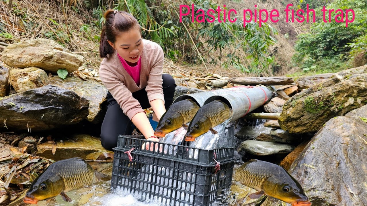 Full video of 35 days Ana made a fish trap in a big stream, and harvested many big fish to sell.
