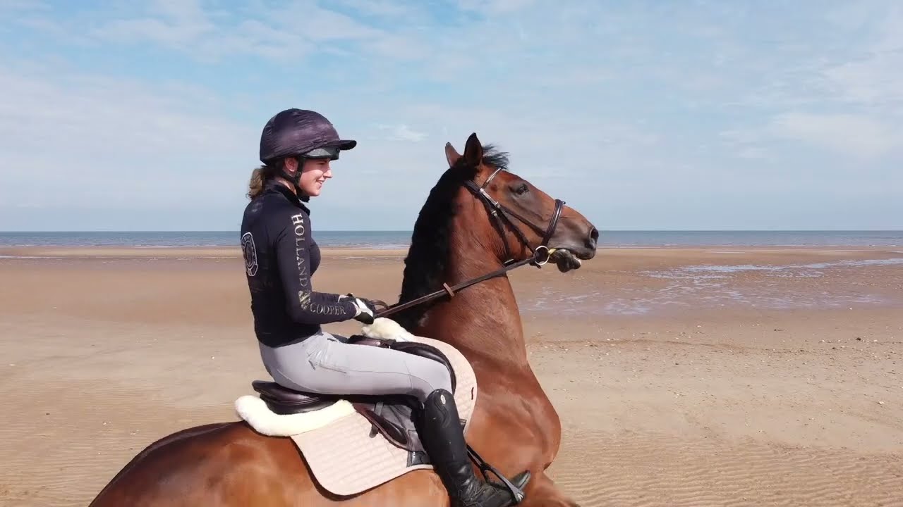 Holme Next The Sea - Area Guide