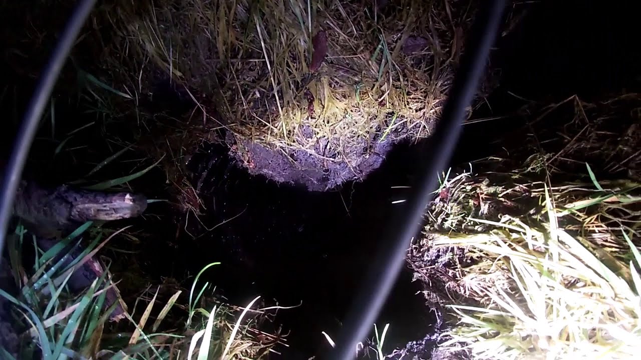 #MINESHAFT  #COALMINE   Looking into a pre 1900 Coal Mine Shaft