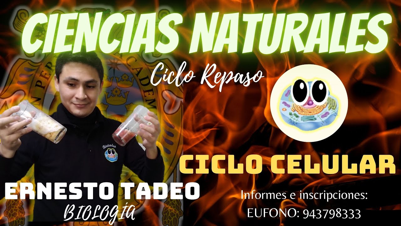 CICLO CIENCIAS NATURALES - BIOLOGÍA - CICLO CELULAR
