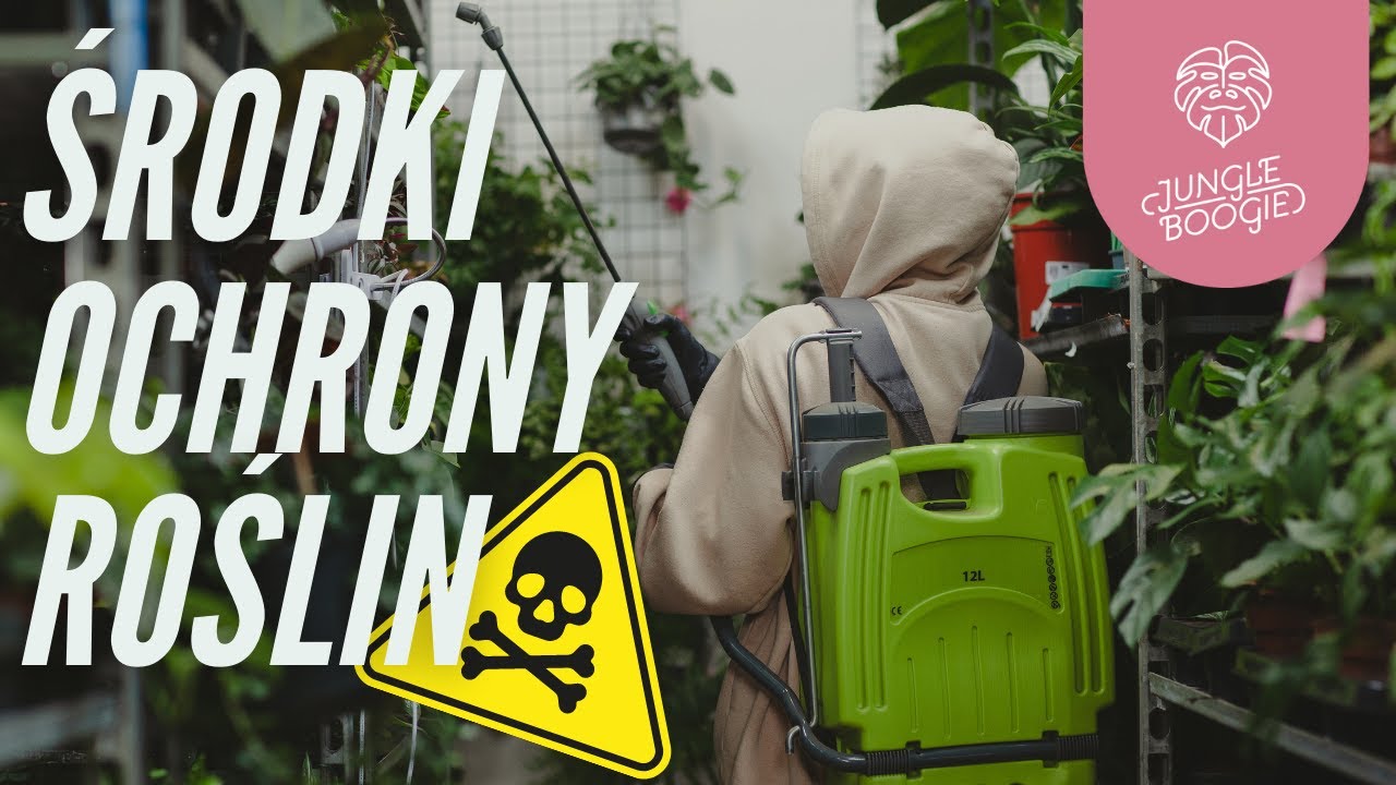ŚRODKI OCHRONY ROŚLIN - kompendium wiedzy! Oprysk na przędziorka, wciornastka | mieszanie | BHP
