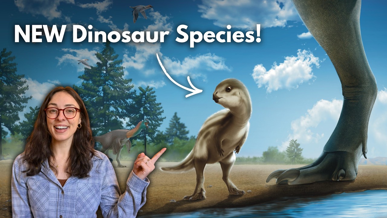 A New Dinosaur Was Just Discovered by X-Ray Technology! GEO GIRL