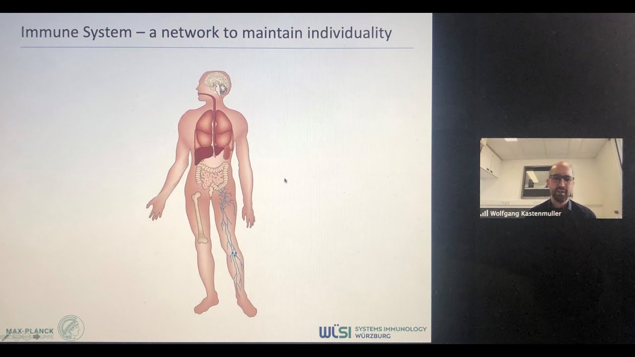 Dynamic orchestration of cellular networks in the immune system by Dr. Wolfgang Kastenmuller