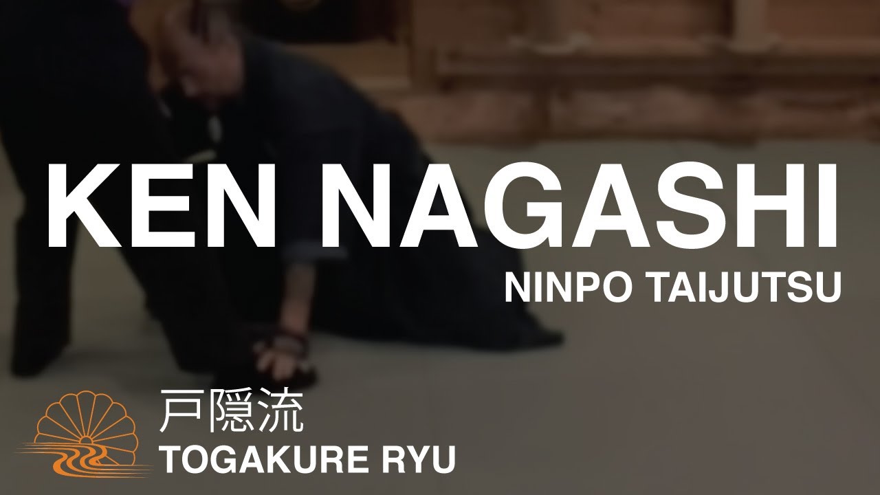Ken Nagashi 拳流 of Togakure Ryu Ninpo Taijutsu