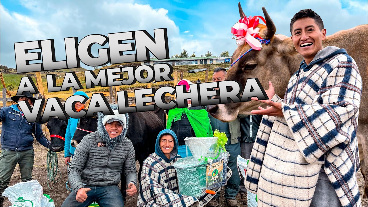 ME INVITARON AL CONCURSO DE LA MEJOR VACA (En Quinchucajas) | Edii Luu