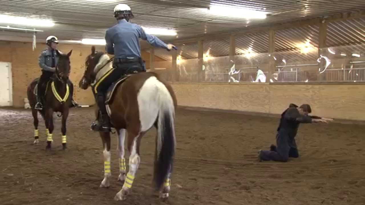 St. Paul Mounted Police Unit Graduation, May 7, 2015