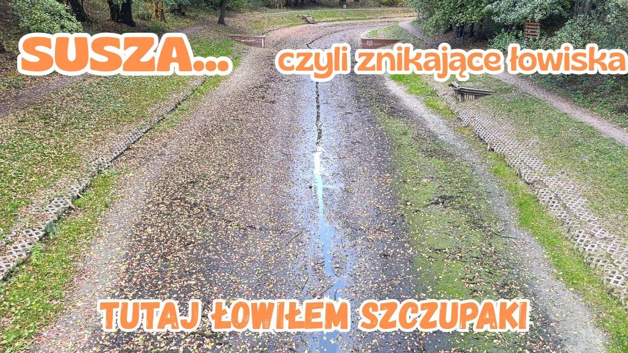 SUSZA... czyli znikające łowiska w WARSZAWIE #fishing #wędkarstwo