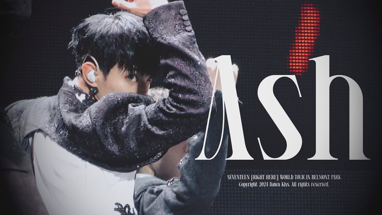 [4K] 241025-1027 RIGHT HERE WORLD TOUR IN BELMONT PARK ASH  - 세븐틴 도겸 DK 직캠 Focus 교차편집
